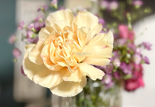 仏花
